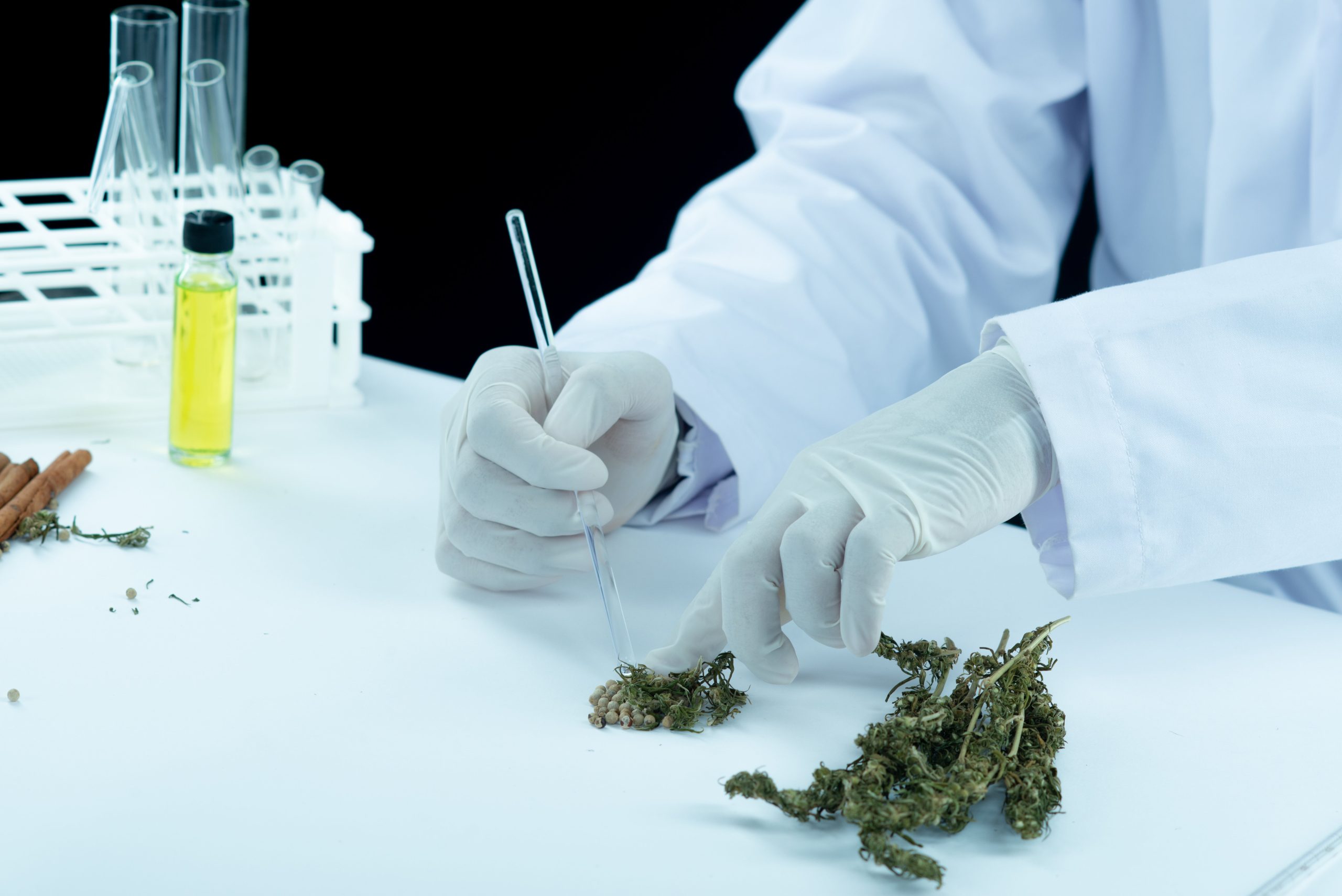 endocannabinoids (1)